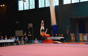 58e528bacb0c3_DSC0335.JPG