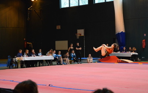 58e528da62378_DSC0339.JPG